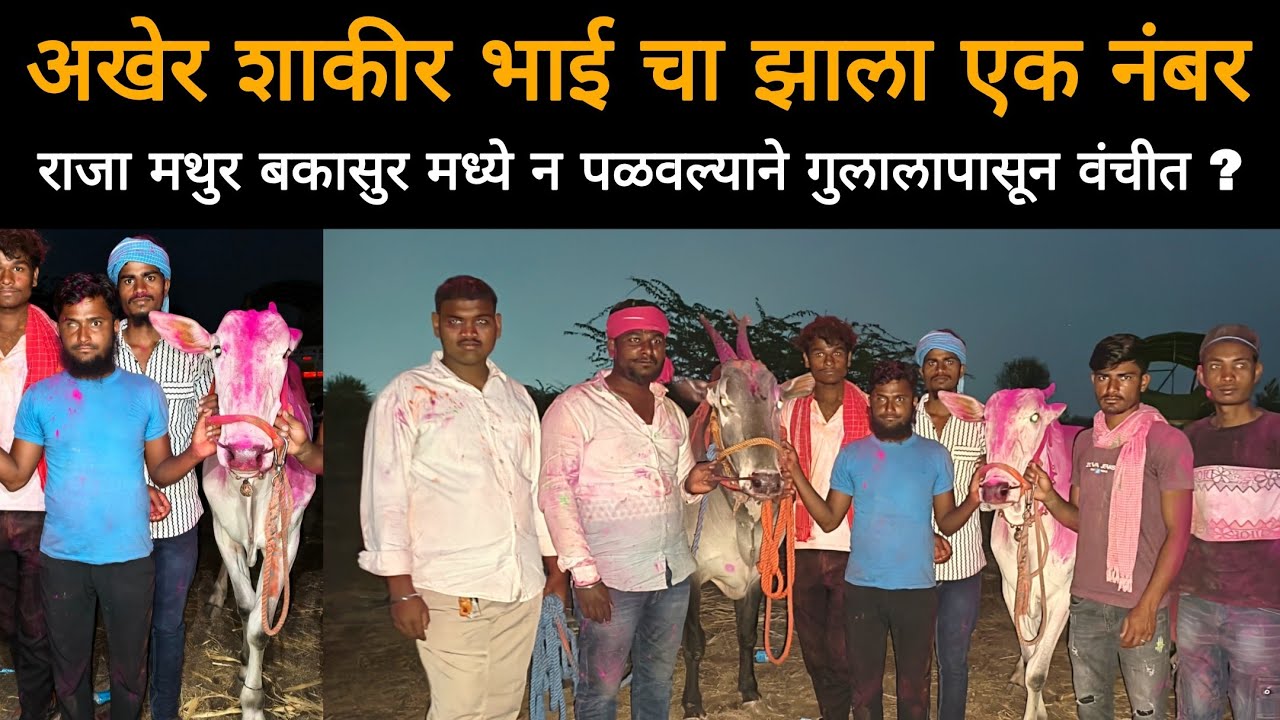 नवीन वर्ष आणि रमजान ईद शाकीर तात्याला पावली |