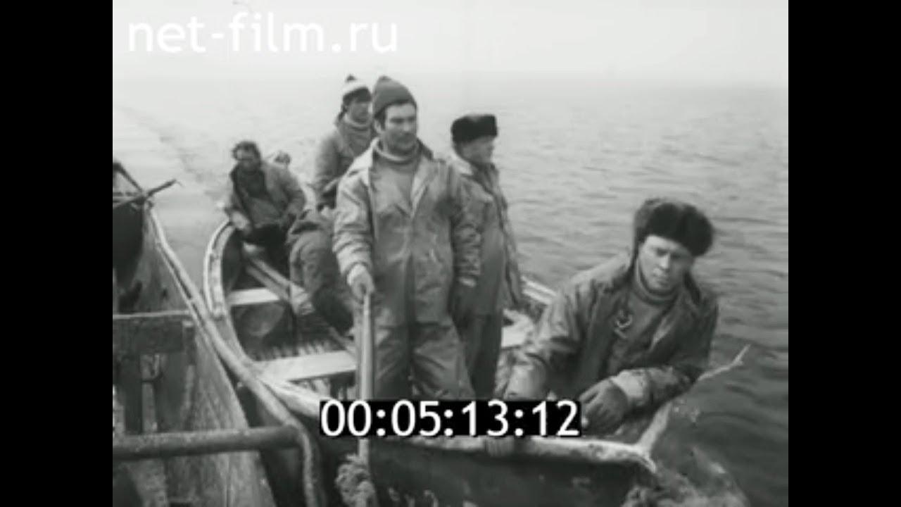 1986г. колхоз За Родину. Калининградская обл
