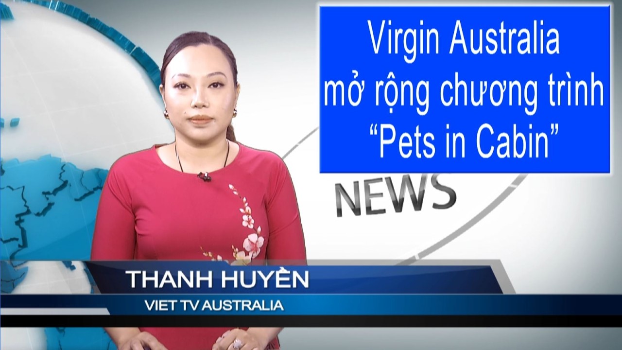 TIN 3PM 27-02-2026: Virgin Australia mở rộng chương trình “Pets in Cabin”