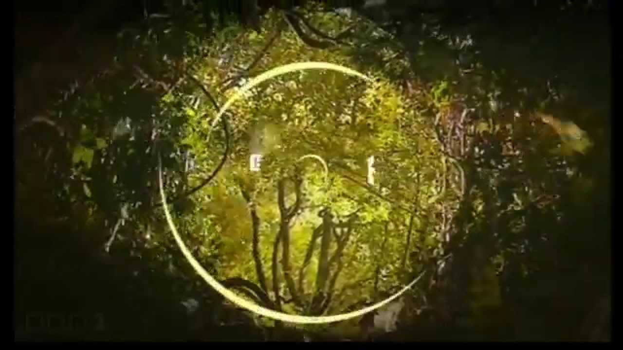 BBC One NE & Cumbria: Idents (June 2015)