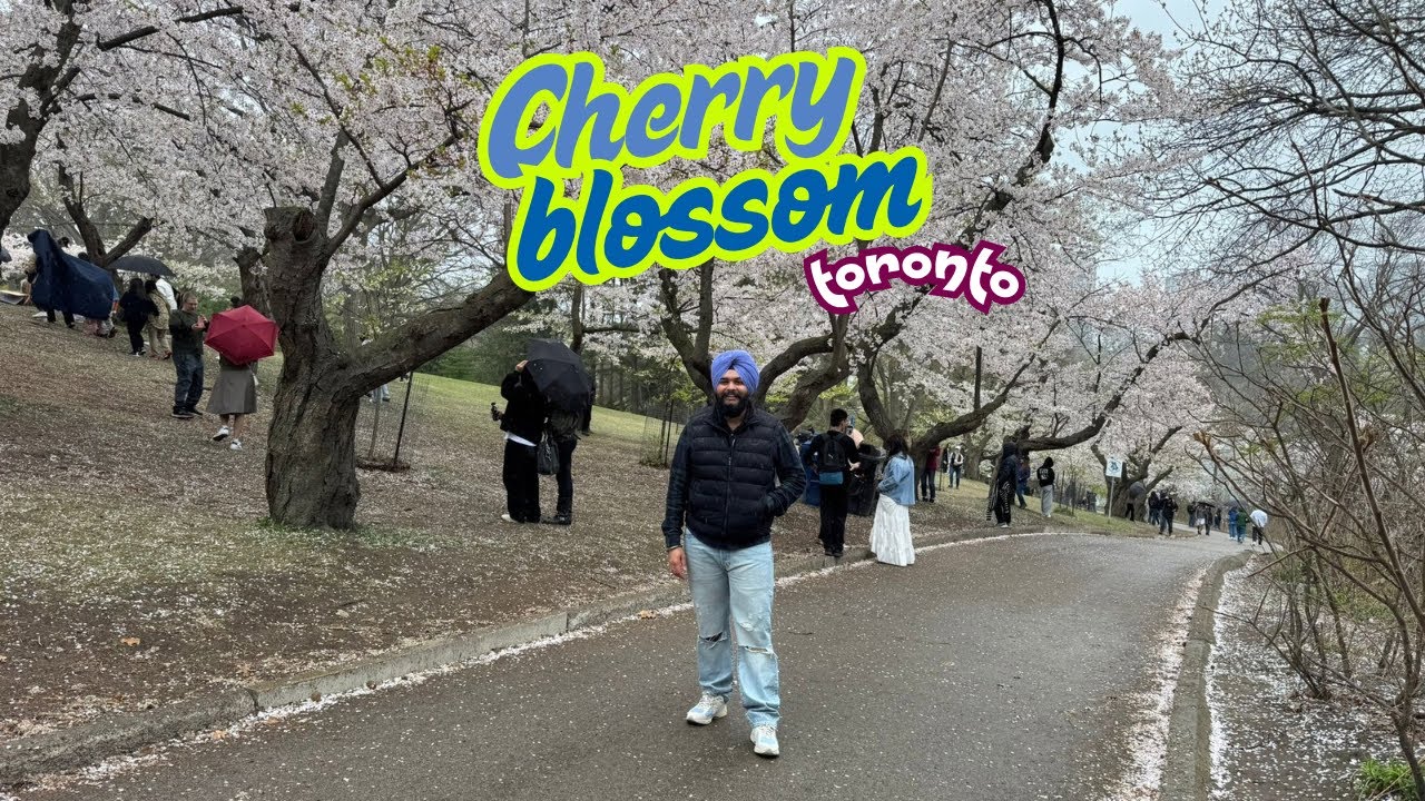CHERRY BLOSSOM in TORONTO High Park | Kiran Nation Vlog