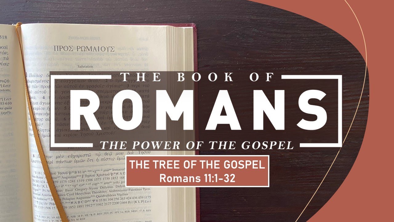 Romans 11:1-36 - The Tree of the Gospel// with Felix Fernandez