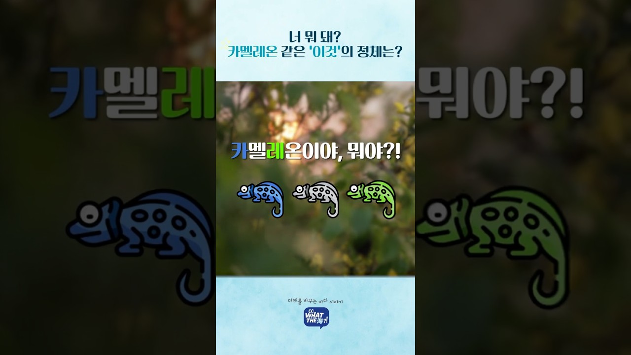 [왓더해 EP.04] 너 뭐 돼? 카멜레온 같은 이것의 정체는?