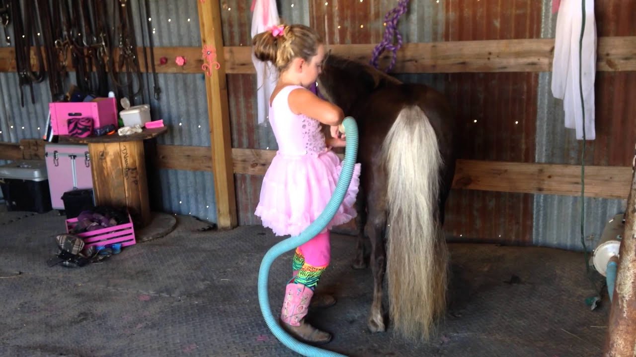 Vacuuming Velvet, I'm not sure who enjoys it more.