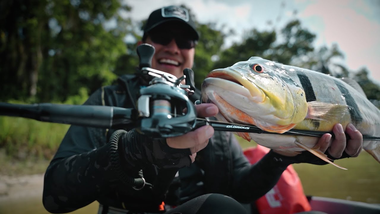 ALDEBARAN DC 2025 | Review | Shimano Prostaff Syafie