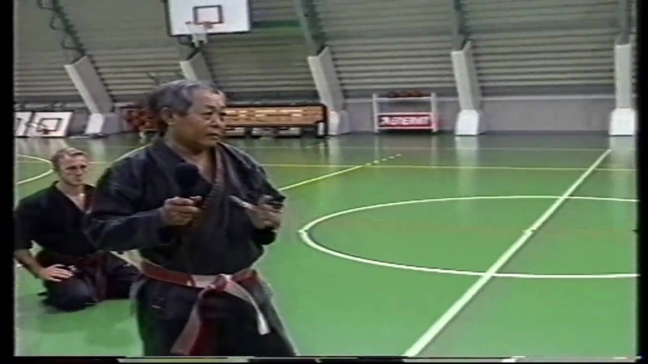 VIET VO DAO/Techniques Hiep Khi Vo Dao N°1