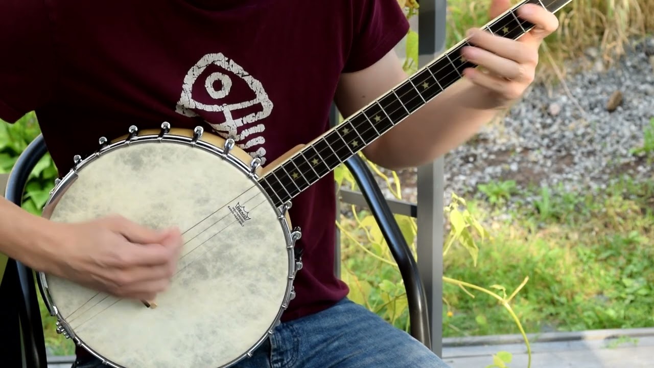 Reels: Farewell to Ireland / Frank's