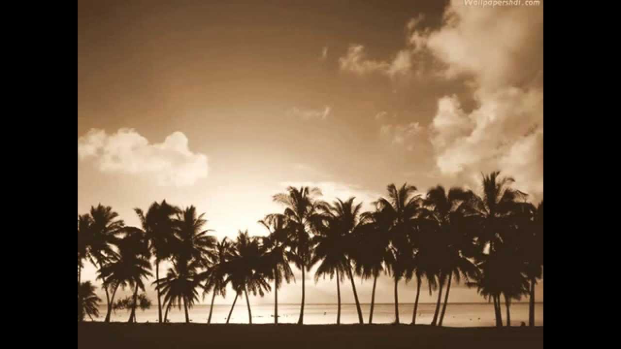 Lauhaus - Varna Vibes(Mr.G remix)