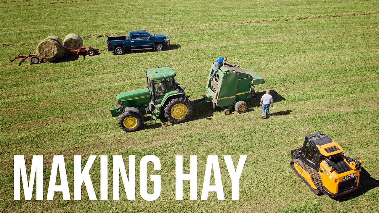 JCB Teleskid Helping Make Hay!