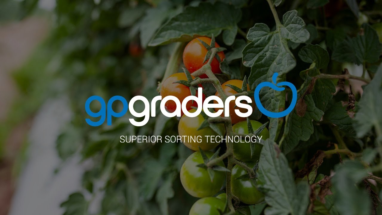 Sunripe Cherry Tomatoes - 4L AirJet Grader with MVCS & gpVision