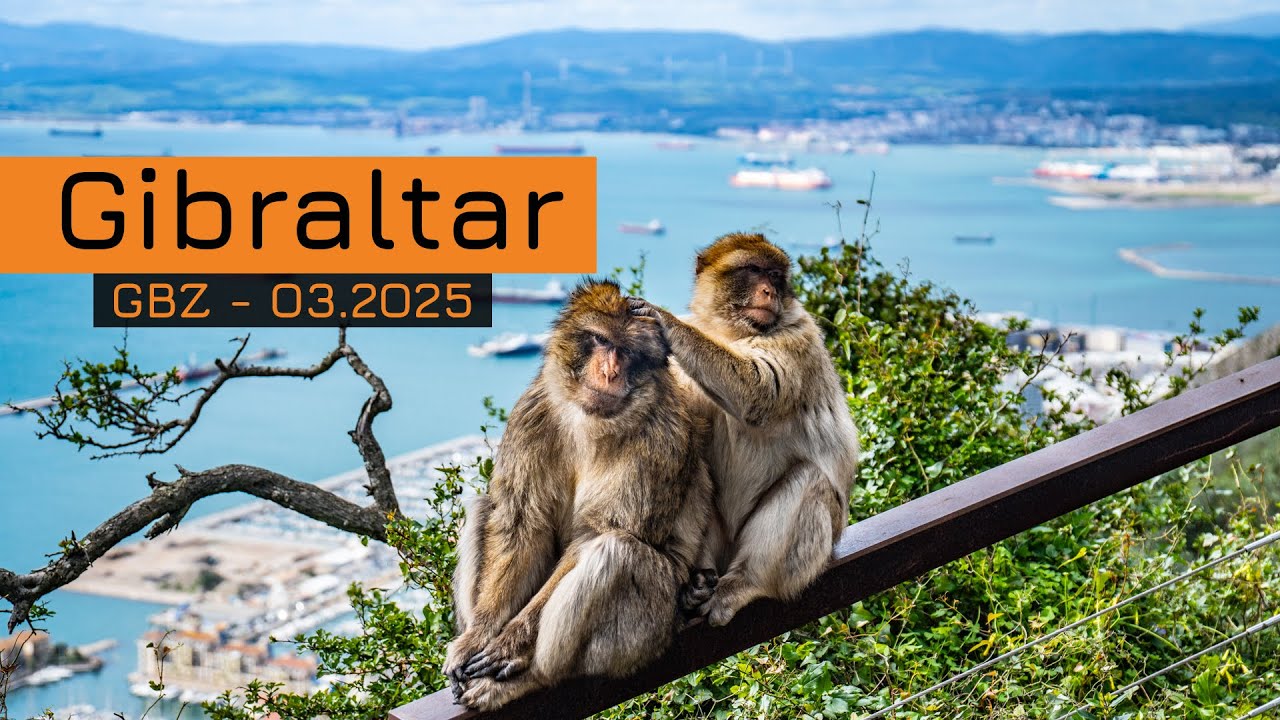 Gibraltar - trekking, najlepsze punkty widokowe i magoty