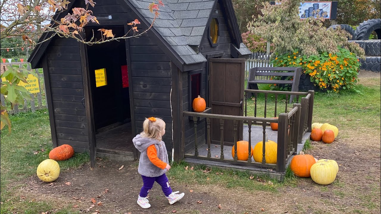Pumpkin Patch activities TGIF