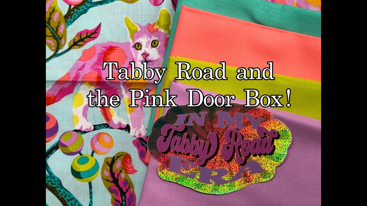 I'M IN MY TABBY ERA! A look at Tabby Road and THE PINK DOOR companion box!