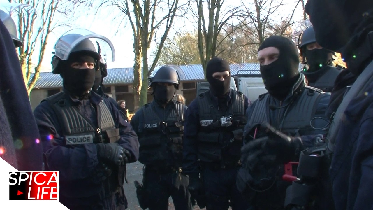 VOLS EN SÉRIE : policiers en guerre contre les rois du car-jacking