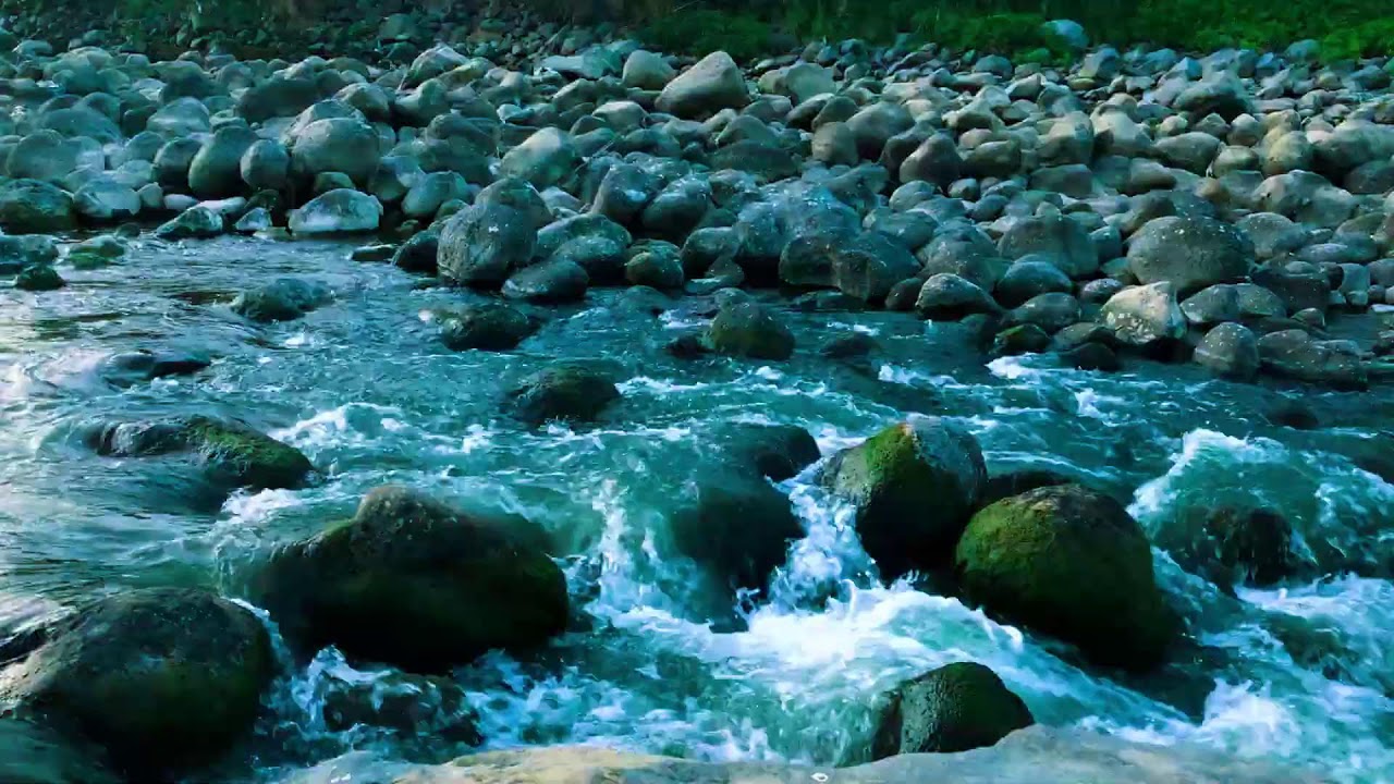 Tropical Forest River Flow for Tension Release, Self-Care