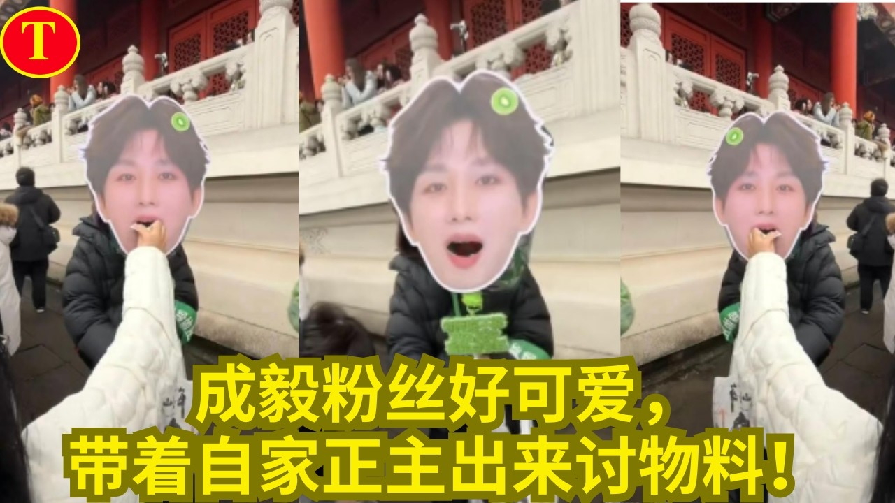 成毅粉丝好可爱，带着自家正主出来讨物料！