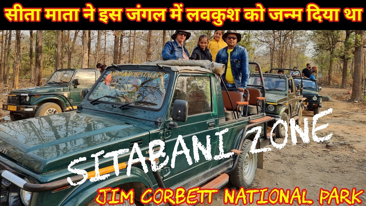 इस जंगल में हुआ था लवकुश को जन्म | Sitabani Zone | Jim Corbett | Jungle Safari #ramnagar #uttrakhand