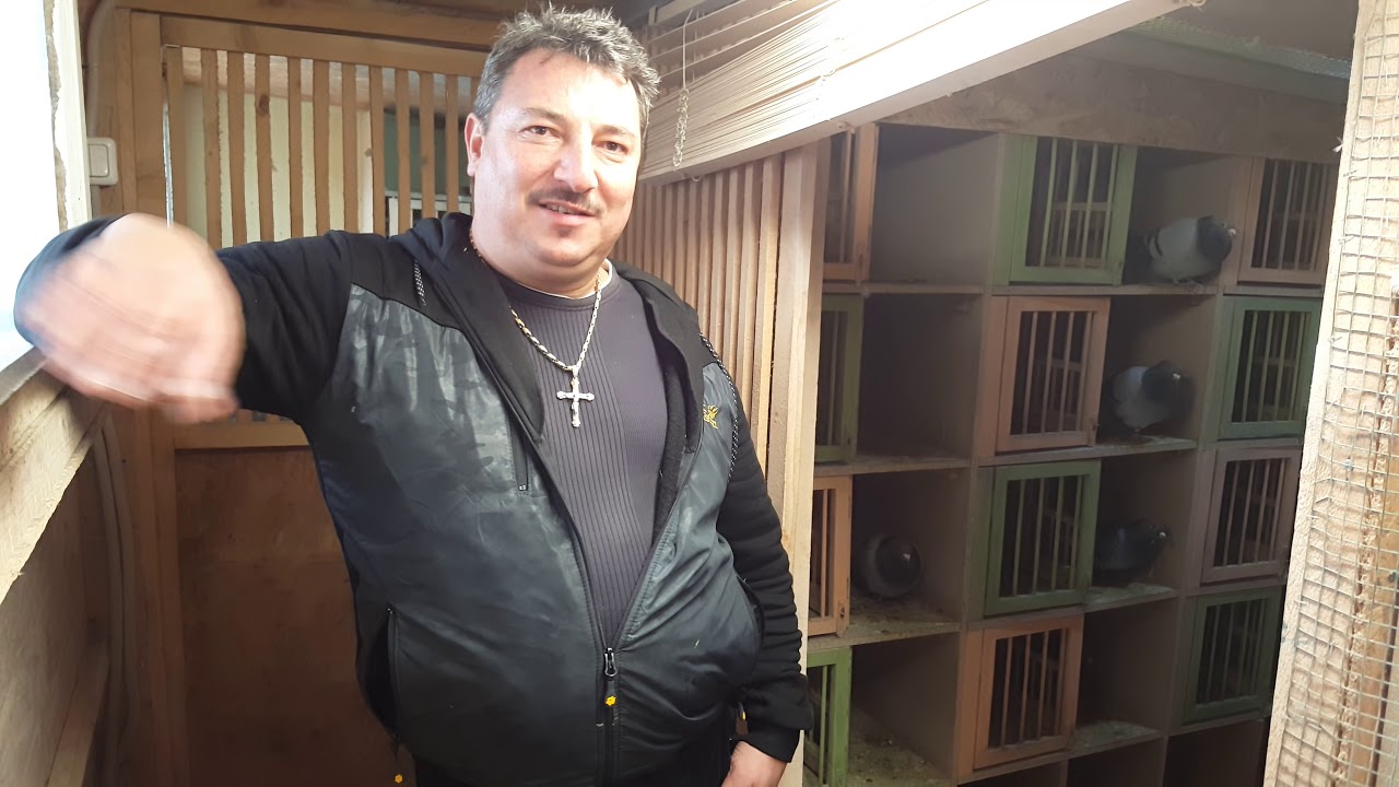 Interviu columbofil - Marius Salasan - Despre metoda de zbor