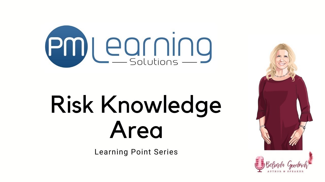 What are the Risk Management Processes?