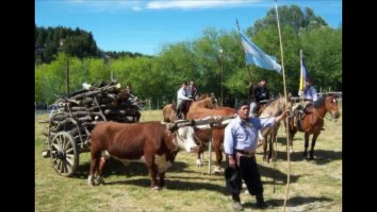 zamba natural - Abelardo epuyen González por Cholo Barriga.wmv