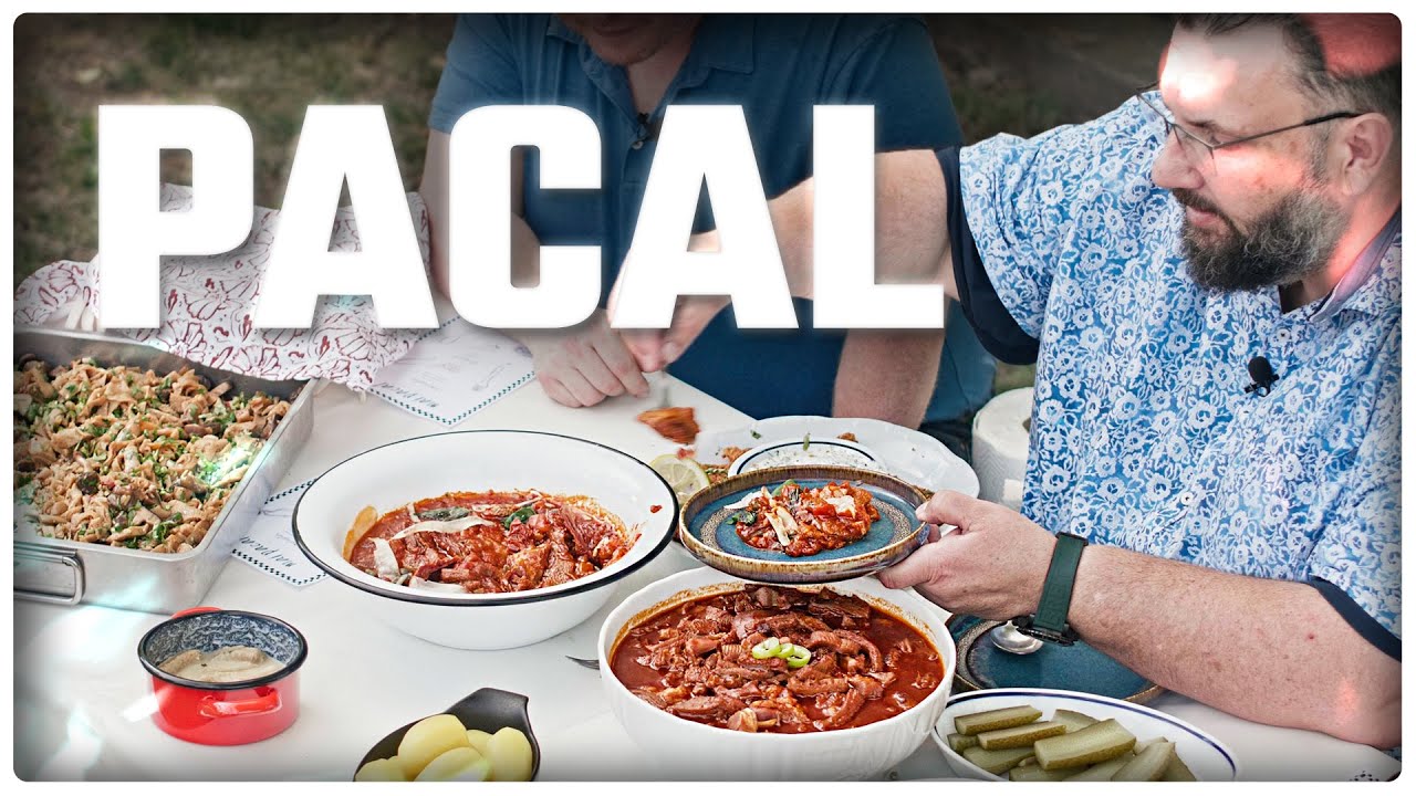 Gyomort a Gyomorba! 🐄🍽️ | PACAL Minden Mennyiségben