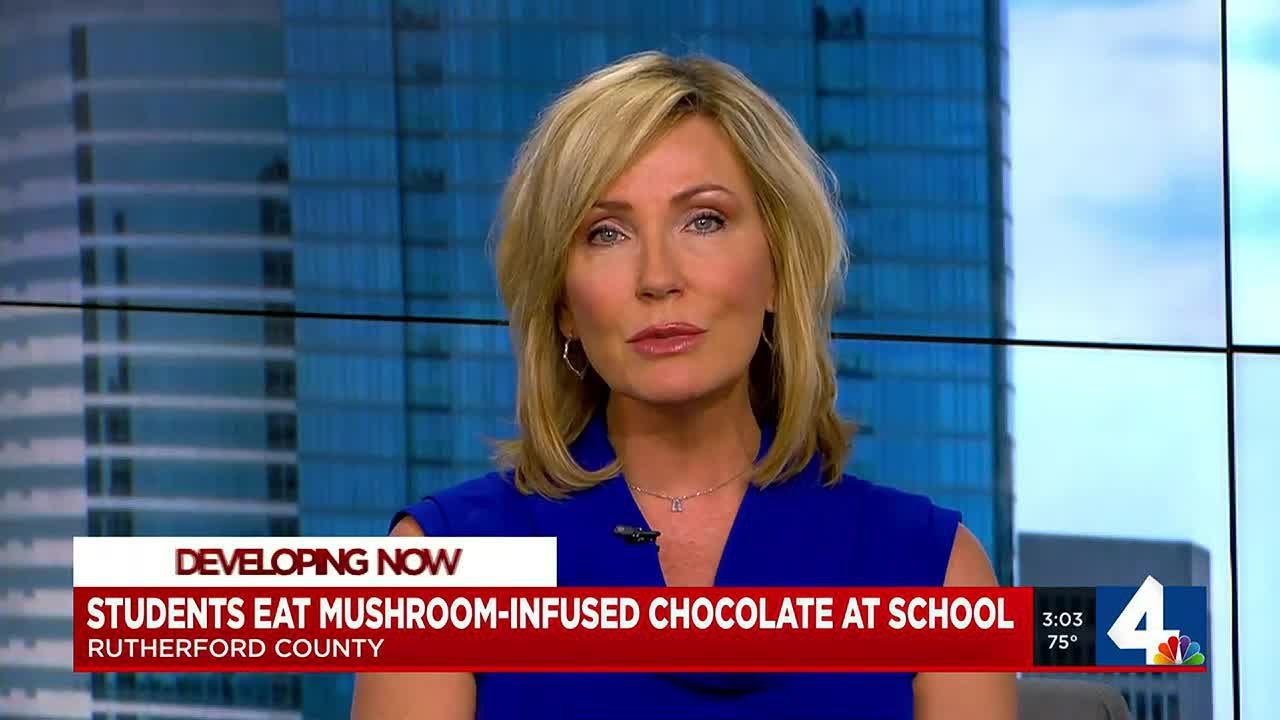 Students eat mushroom-infused chocolate at school