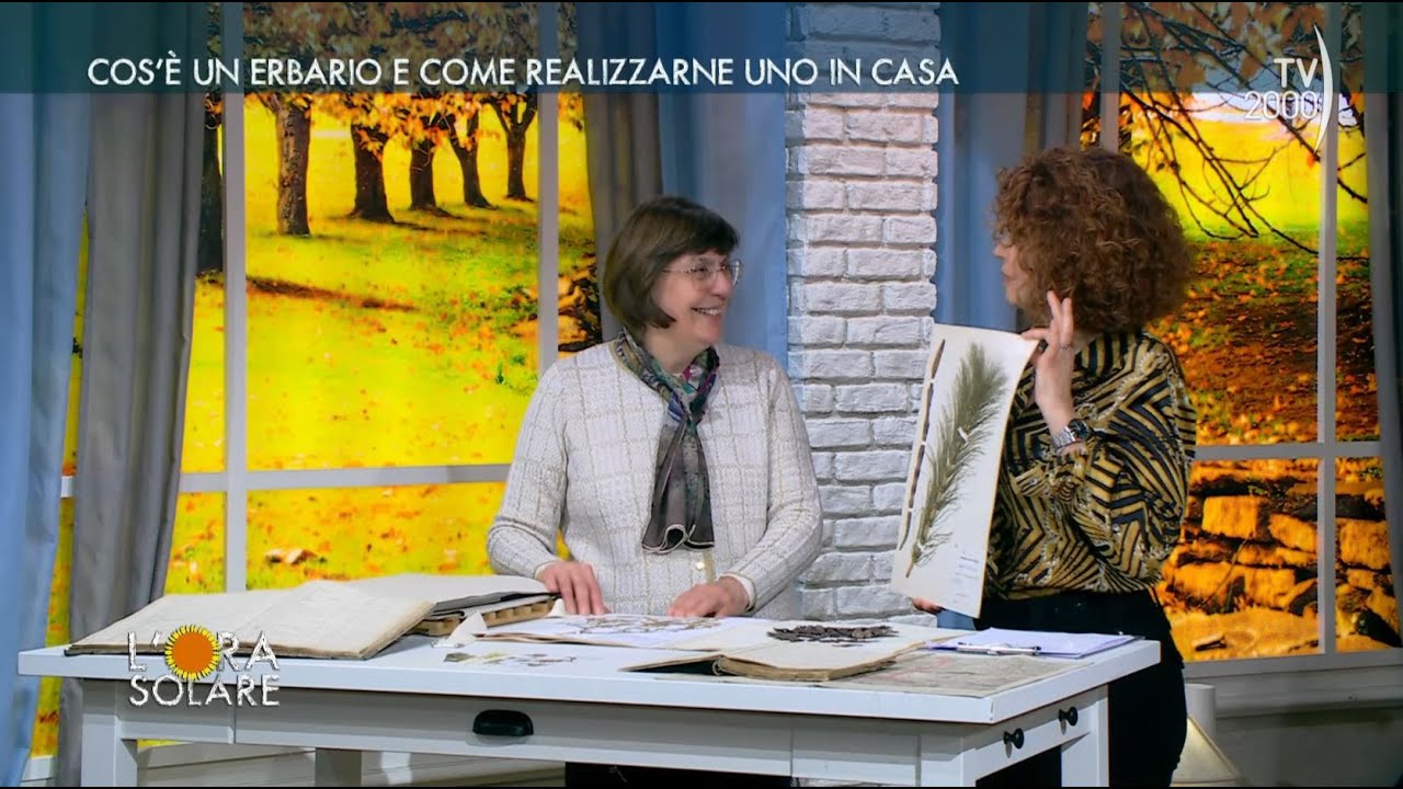 L'Ora Solare (TV2000) Cos'è un erbario e come realizzarne uno in casa