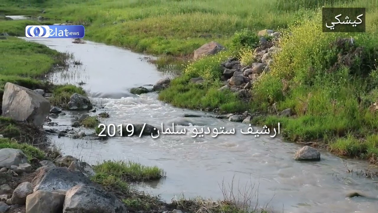 منطقة آليا ، مقطع لربيع كيشكي لعام 2019 /من ارشيف ستوديو سلمان ، تصوير:سلمان اسماعيل