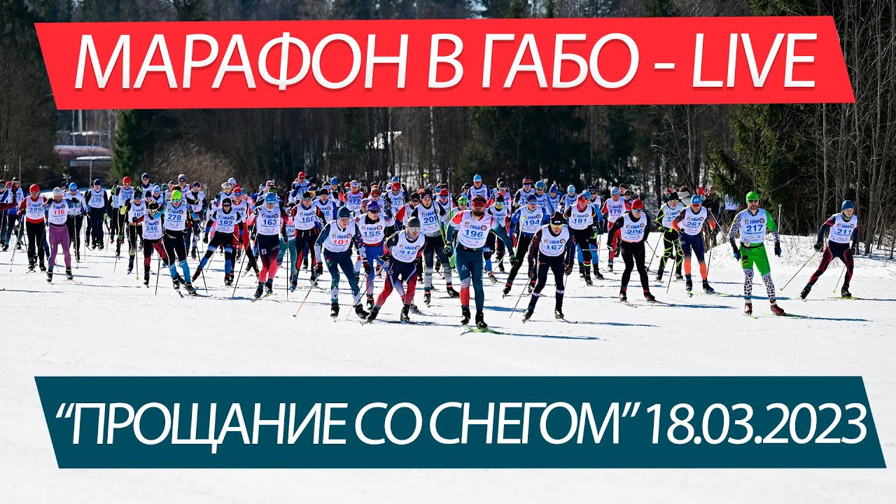 Марафон в ГАБО 