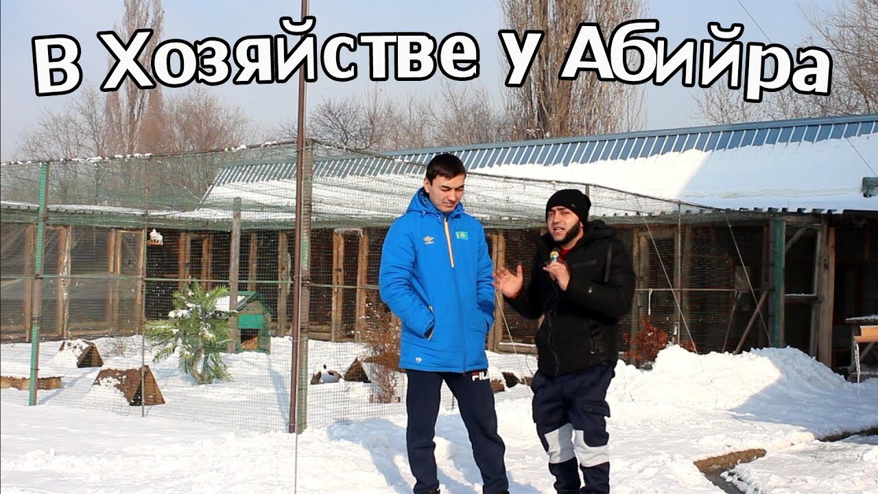 В хозяйстве у Абийра//Микро Куры, Фазаны, Кеклики, утки Мандаринки, Голуби