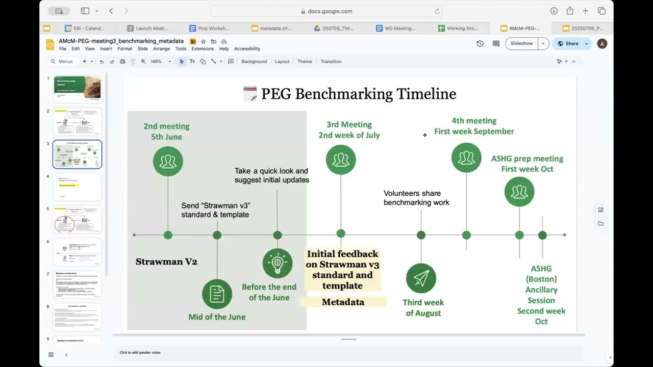 PEGs Working Group Meeting - July 9th, 2025