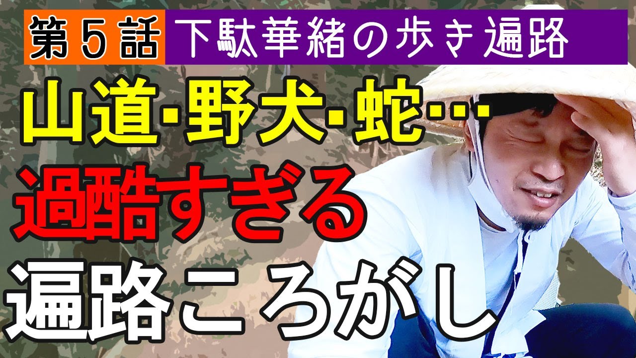 歩き遍路【第5話】11～12番札所/藤井寺～焼山寺への道のり、遍路ころがしの名は伊達じゃない！＃下駄華緒の歩き遍路