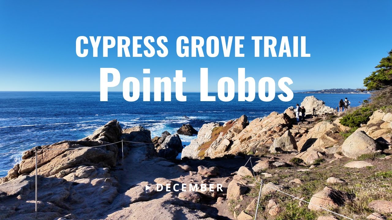 [4K] Point Lobos State Reserve – Cypress Grove Trail | California Walks (EP 2)