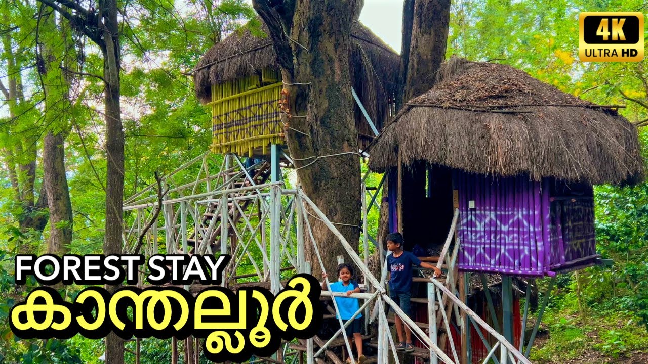 കാന്തല്ലൂരിൽ കാടിനുള്ളിലെ കുടിലിൽ ഒരു ദിവസം | Kanthalloor Forest Stay, Munnar | 4K UHD