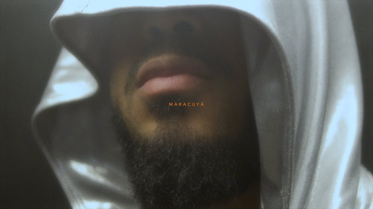 Next November - Maracuyá (Visualizer)