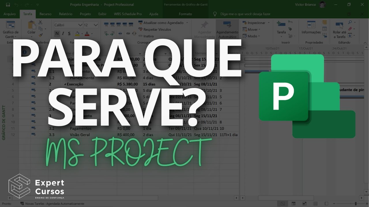 Para que serve o MS Project?