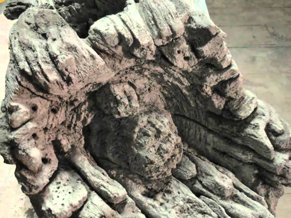 DECORATIVE CONCRETE TRAINING TREE VINES & WOOD