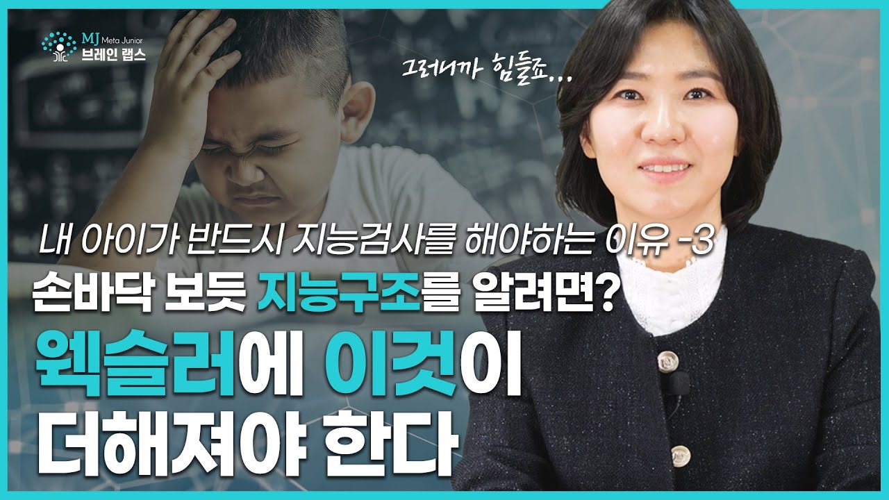 웩슬러와 함께 '이것'도 더해져야 합니다! &ndash; 내 아이가 반드시 지능검사를 해야 하는 이유 3편