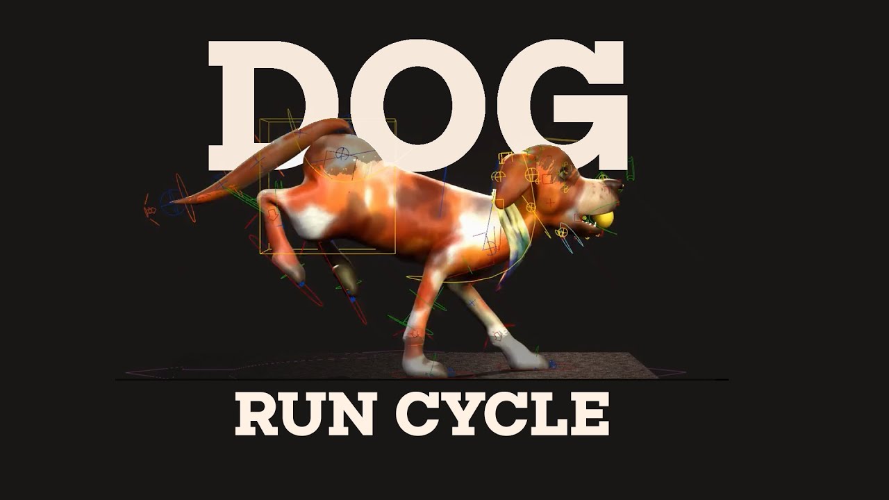 3D Dog Run Animation