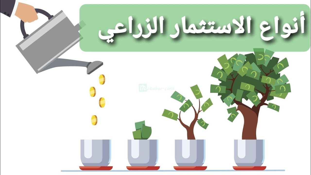 أنواع الاستثمار الزراعي
