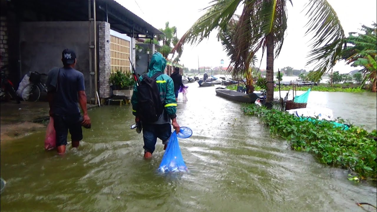 BANJIR BESAR DISINI MEMBAWAH BERKAH PEMANCING,,Mancing ikan mas besar disungai gak pakai lama panen
