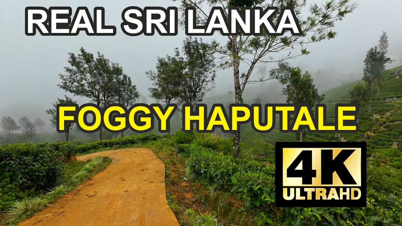 Foggy Haputale Walk - Sri Lanka 4K - Nature Sounds 60 FPS HDR UHD - VIRTUAL WALK TOUR