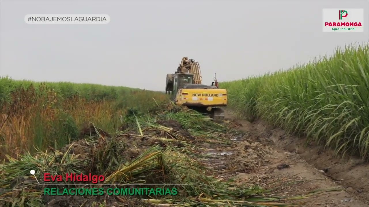 LIMPIEZA DE SANGRADERA COLMATADA DE MALEZA Y TOTORA