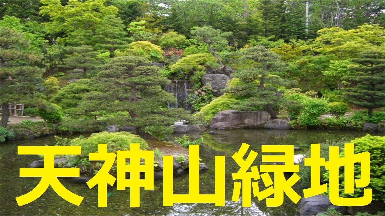 【北海道観光】「天神山緑地」を訪ねました　♪