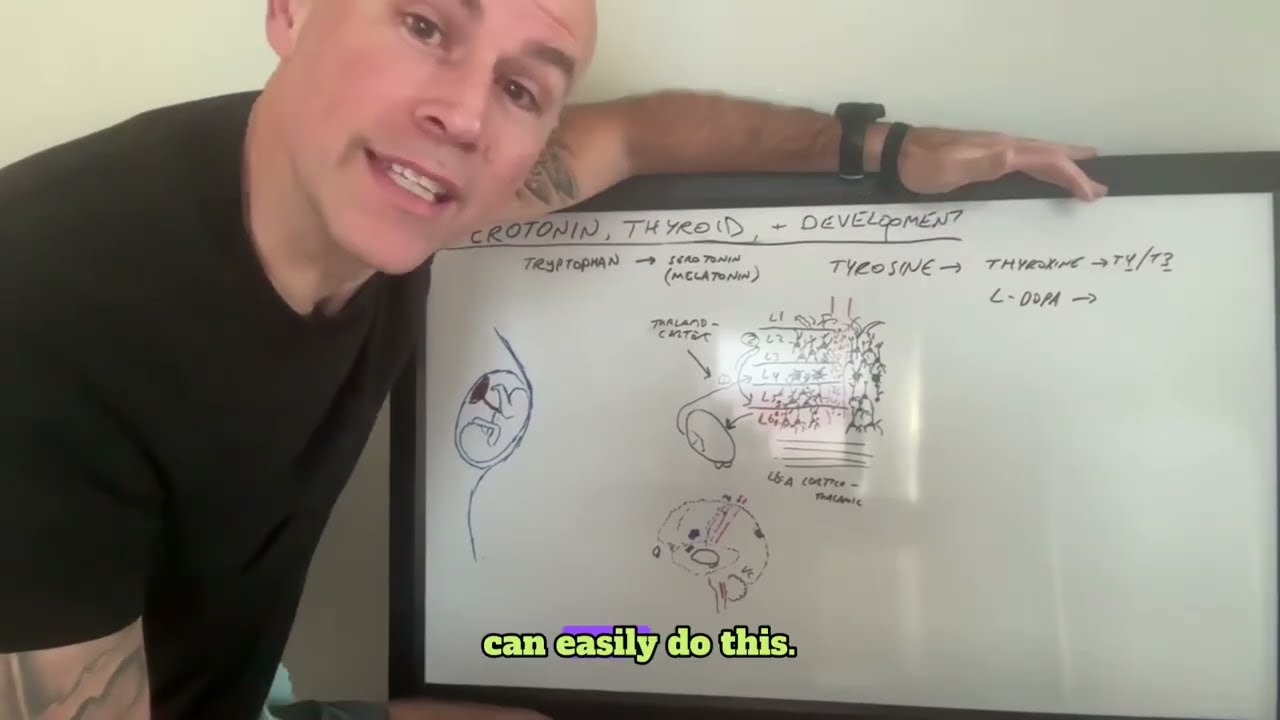 White Board Series: Hypothyroidism, Serotonin & T3: Hidden Biomarkers in Autism & Parkinson’s