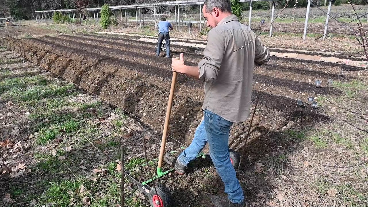 Préparation des planches de culture avec la Campagnole au Grand Potager du Domaine de Fontenille
