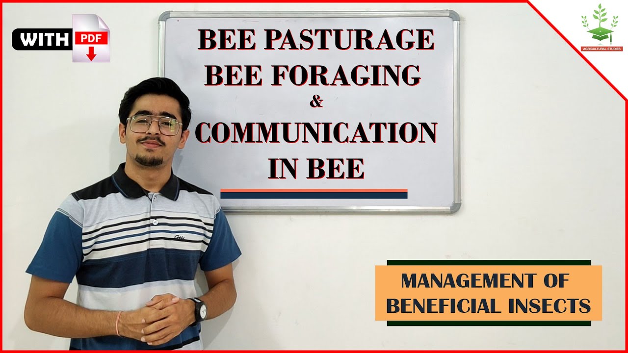 BEE PASTURAGE, BEE FORAGING & COMMUNICATION IN BEE - APICULTURE PART 5