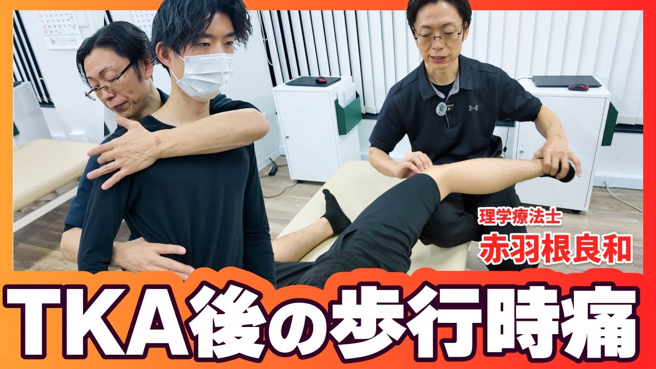 【有料級】歩行時痛で〇〇に着目！腸脛靭帯の４タイプのアプローチ、など