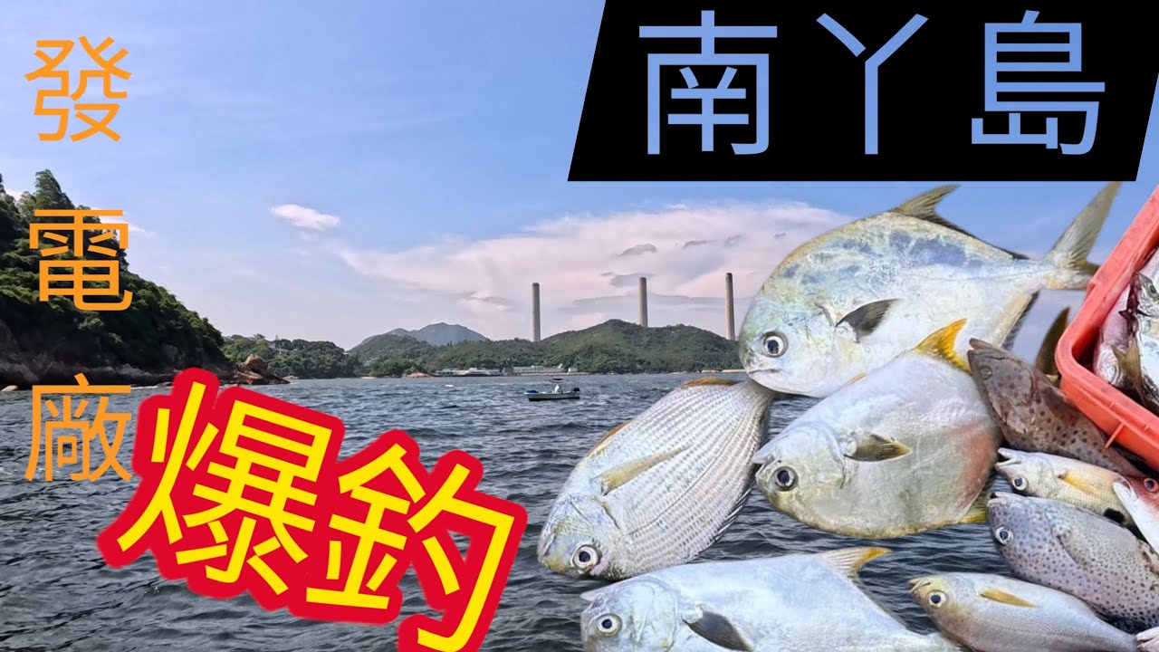 南丫島大頭艇爆釣