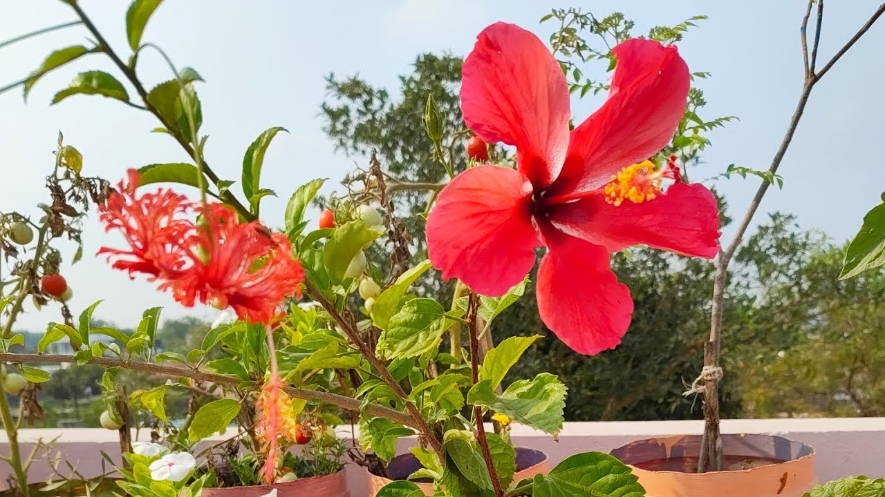 నేను చేసిన ఈ తప్పు మీరు అస్సలు చేయకండి 😭